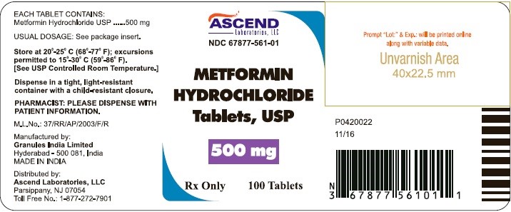 metformin manufacturing